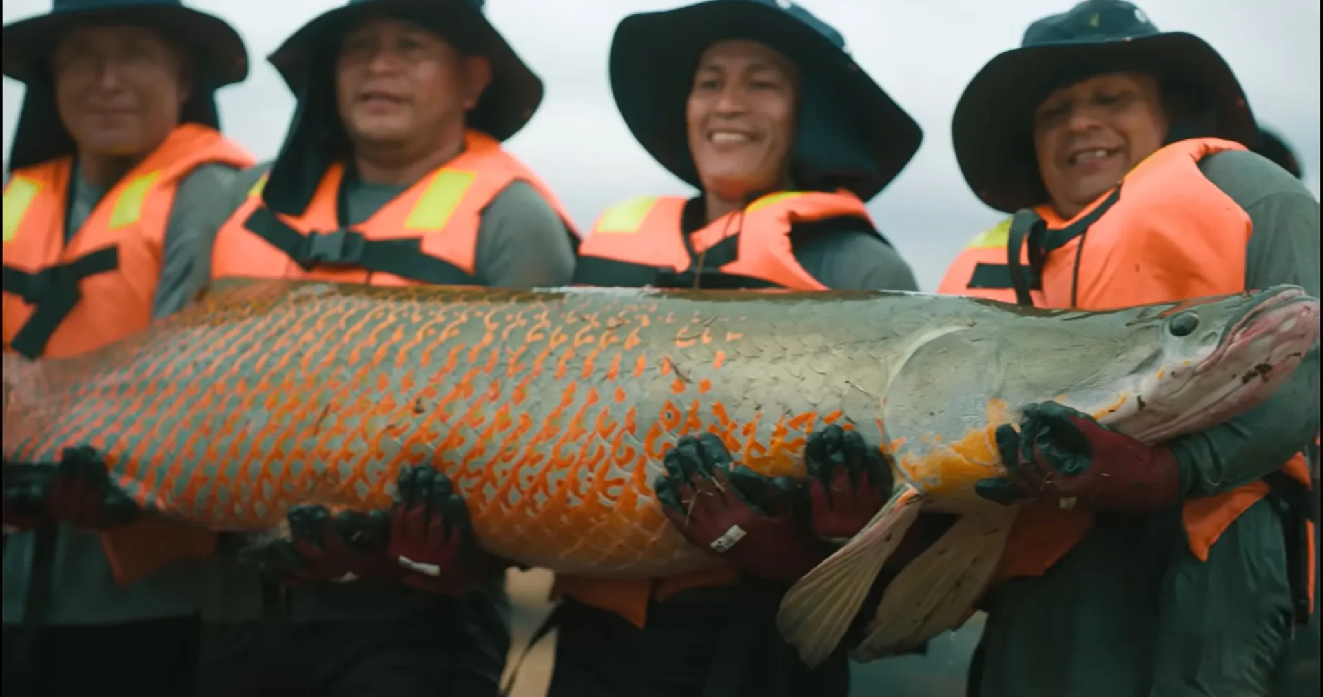 Paiche de Ucayali River